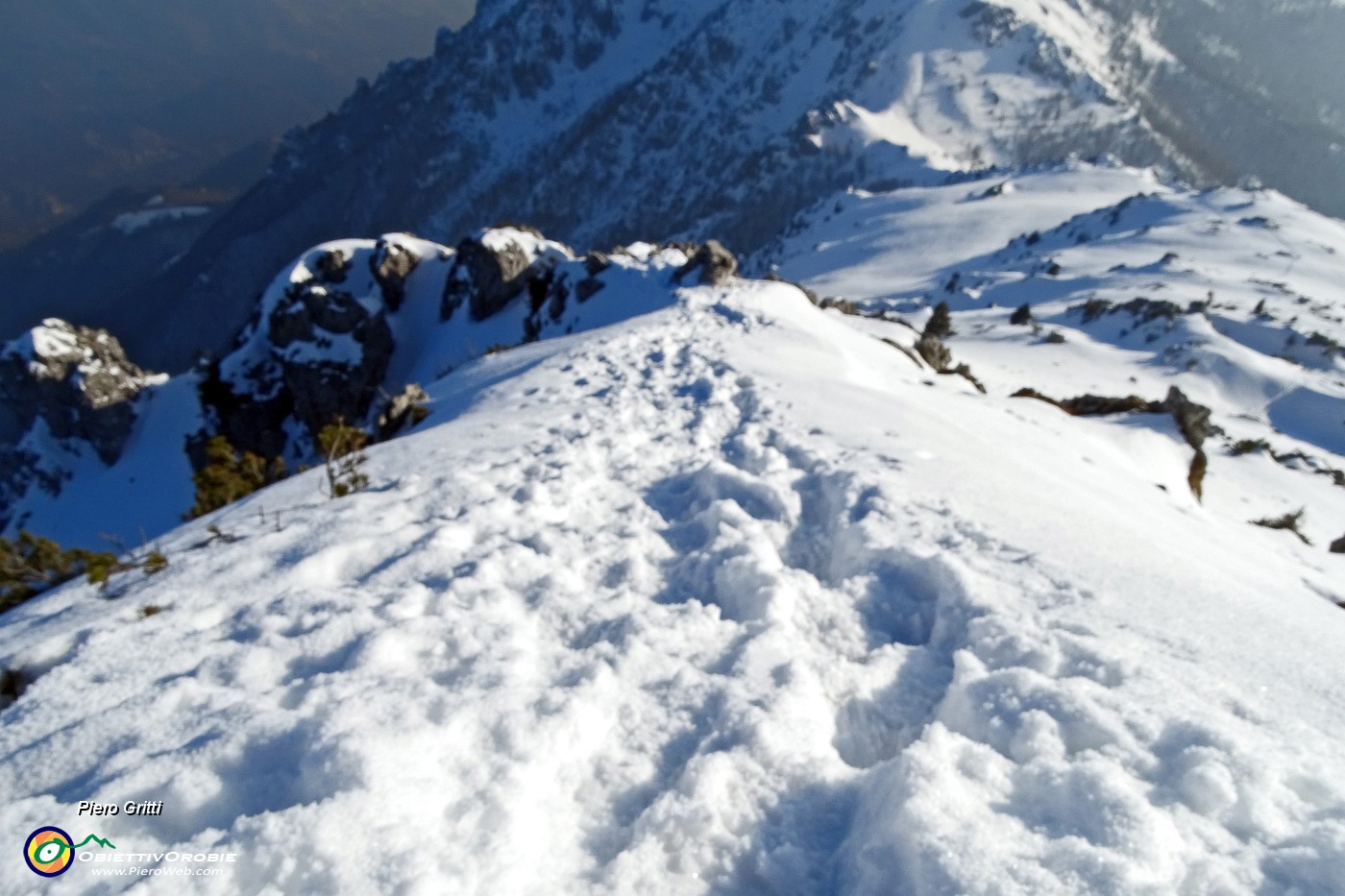 57 Neve rammollita .JPG -                                